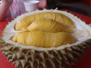Durian Musang King