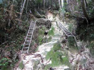 Gunung Ledang Climbing